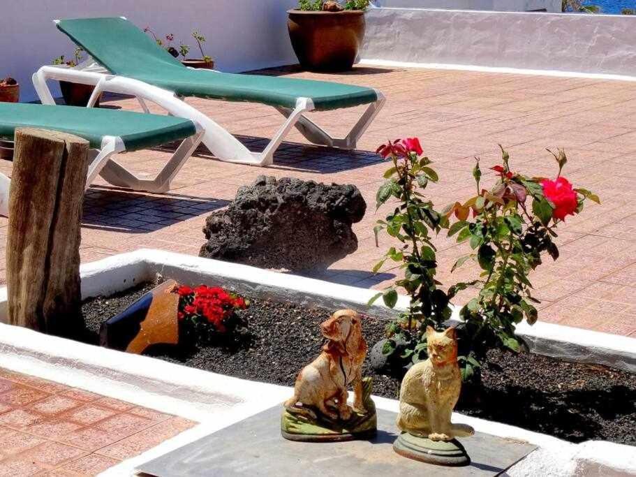 Casa Descanso Con Jacuzzi En Плая Кемада Екстериор снимка